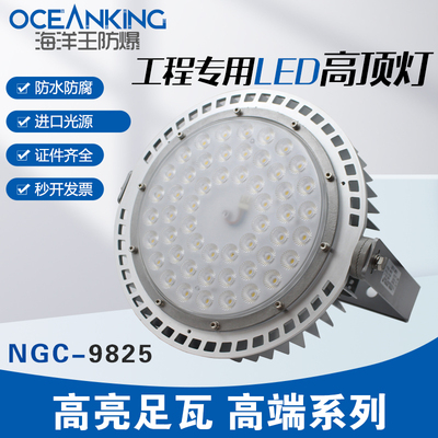 海洋王OK-NGC9825工业三防高顶灯100w200w体育馆球场仓库车间高端