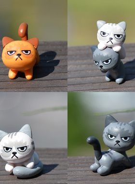 盆栽摄影可爱风猫咪多肉植物道具