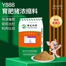银龙Y888育肥猪浓缩料中大猪饲料催肥促生长猪自配浓缩料40kg80斤