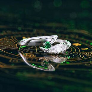 时尚二次元动漫周边王杰希灭绝星尘辰王戒指指环