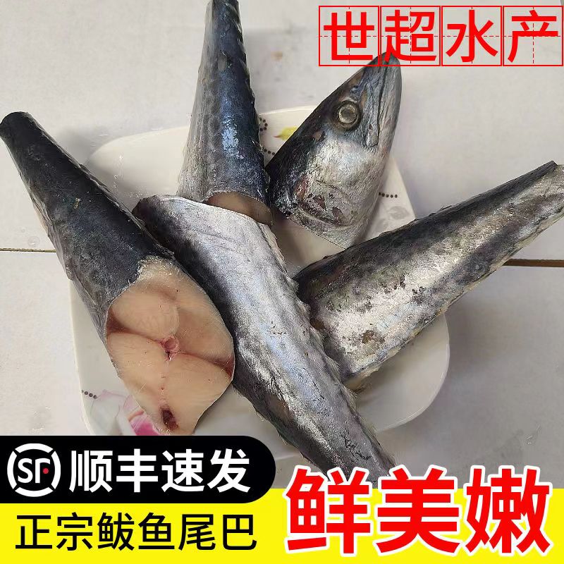 【4斤发货】鲅鱼尾马鲛鱼尾新鲜鲅鱼大号速冻1斤4条实惠海产品