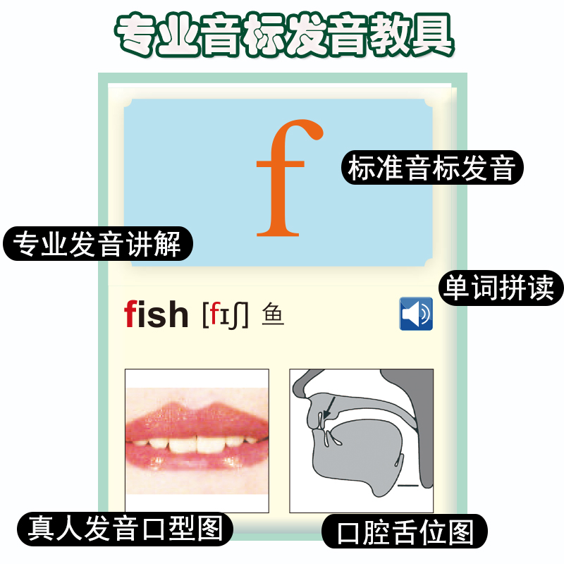 小学生英语国际音标发音有声挂图48音标学习神器字母英标发声卡片