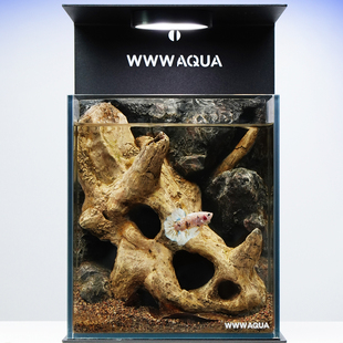 K11 WWWAQUA古化石系列三角龙造景玻璃缸自循环生态缸鱼缸