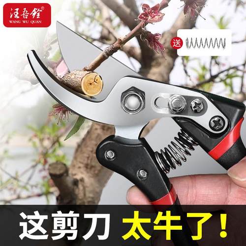 汪吾铨园艺剪省力修枝剪树枝剪刀果树剪SK5钢家用剪花剪园艺工具