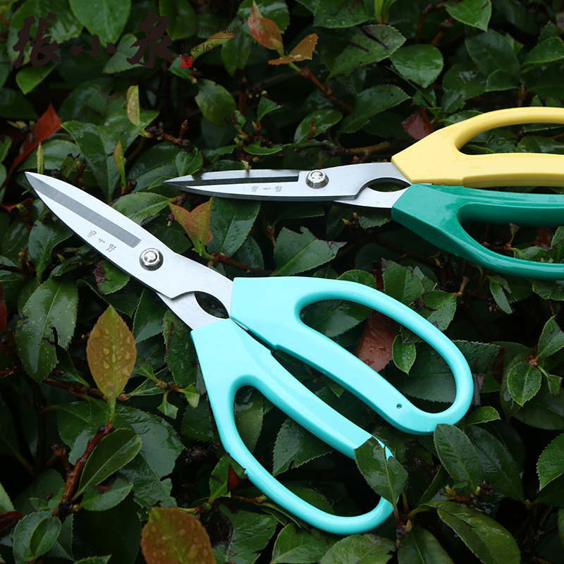 张小泉剪刀家用剪子园艺强力剪花店修剪花草专用厨房剪花剪花艺剪