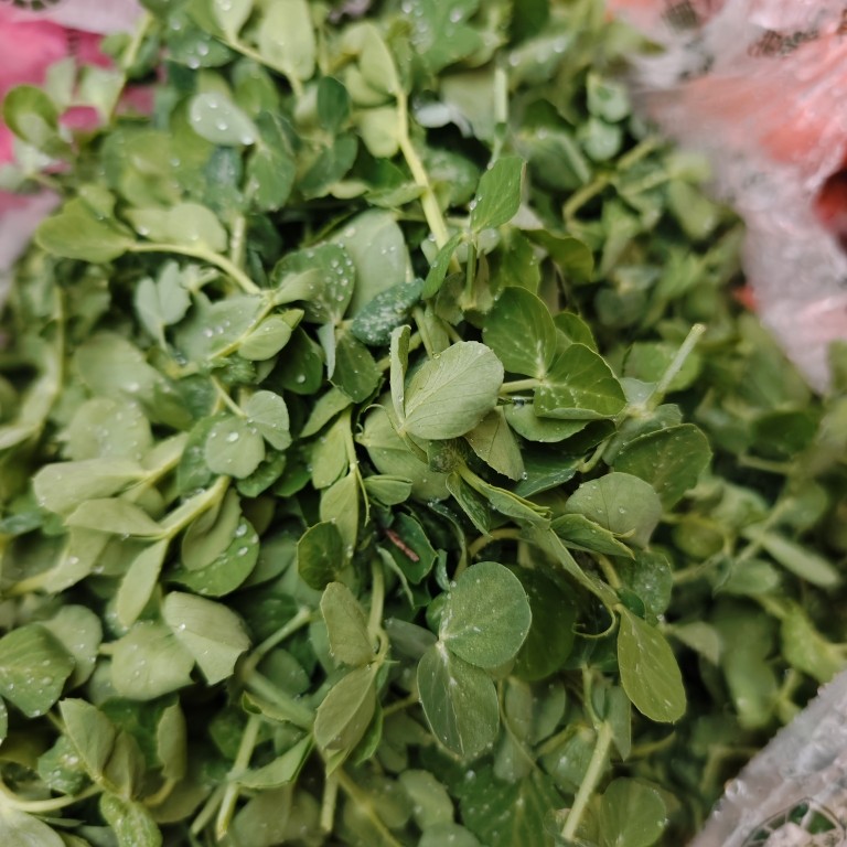 农家菜园新鲜蔬菜豌豆尖豌豆苗煮汤火锅 有坏包赔,水产肉类/新鲜蔬果/熟食,其它,淘宝优惠券,粉丝福利购,淘宝优惠卷