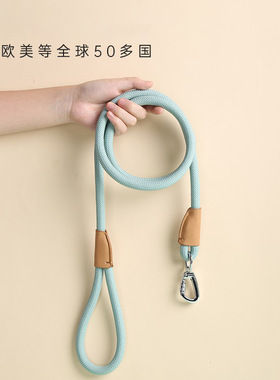 獾的礼物宠物狗狗牵引绳小型泰迪中大型犬金毛通用狗链宠物狗链