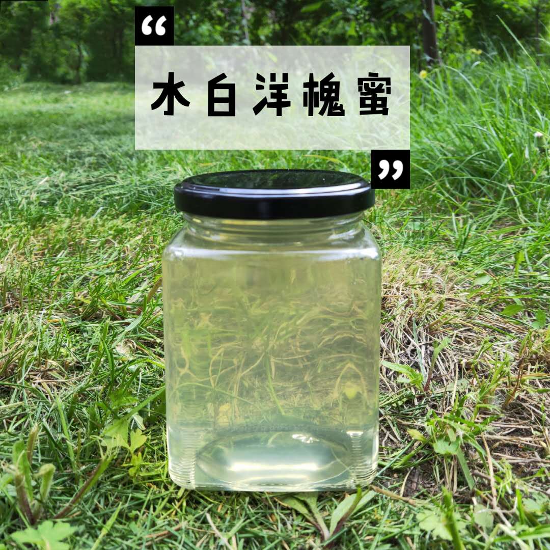 新蜜水白洋槐蜜农家自产原蜜无加工蜂场现取槐花蜜