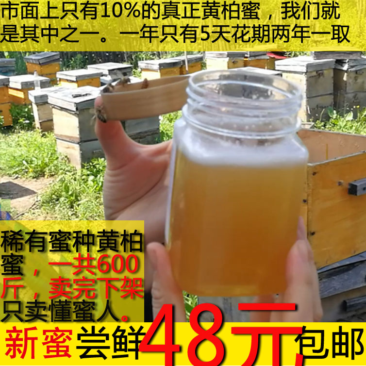 蜂蜜天然纯正农家自产东北黑蜂黄柏黄菠萝蜜稀有蜜种孕妇儿童可用