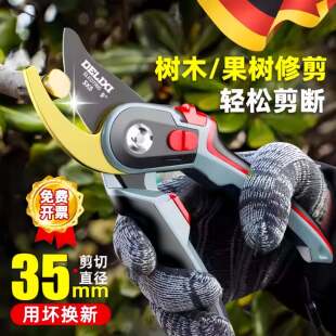 修剪树枝剪刀园艺修枝剪果树剪枝专用剪花花卉花剪修树枝工具园林