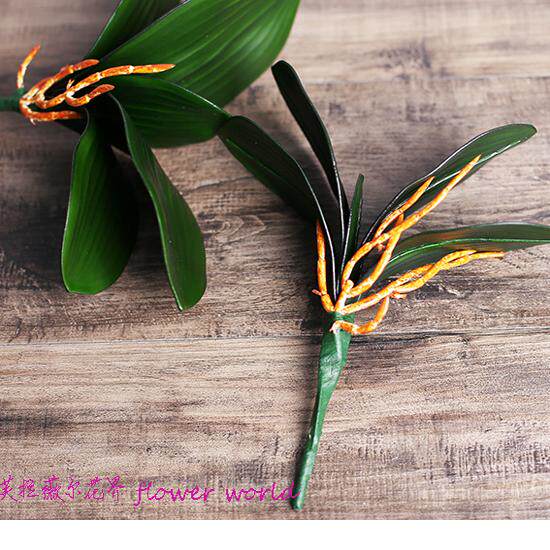 仿真蝴蝶兰叶子 软质材料叶子EV叶片