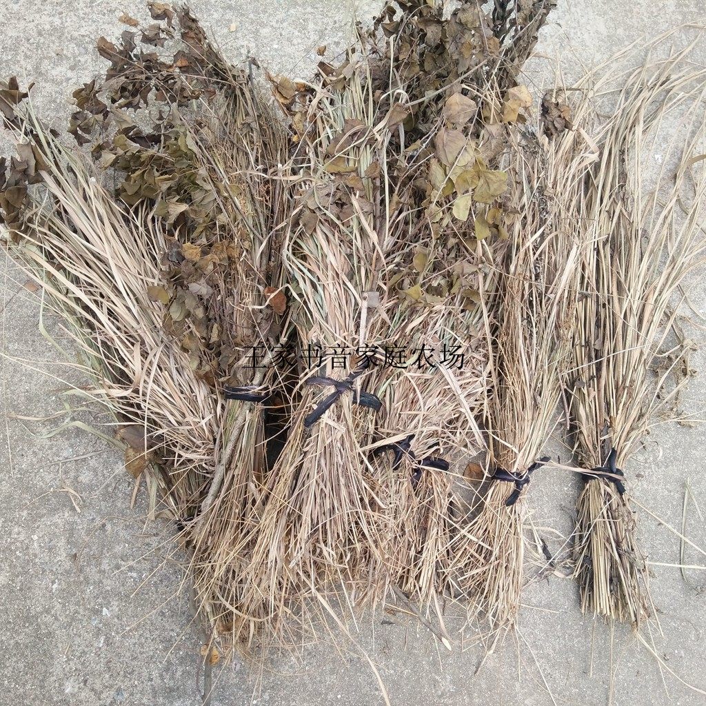 枯草陈列摆设摄影道具艺术干花干草野草橱窗卖场布置茅草蒲公英