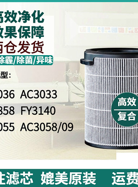 适配飞利浦空气净化器过滤网FY3140 AC3036/3055/3033/3058滤芯09