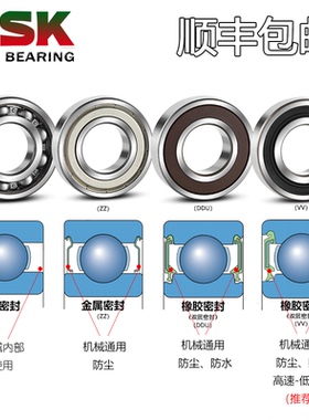 日本单列进口NSK轴承S 6203 ZZ DDU VV 2R S Z hZ NR配件旗舰店P5