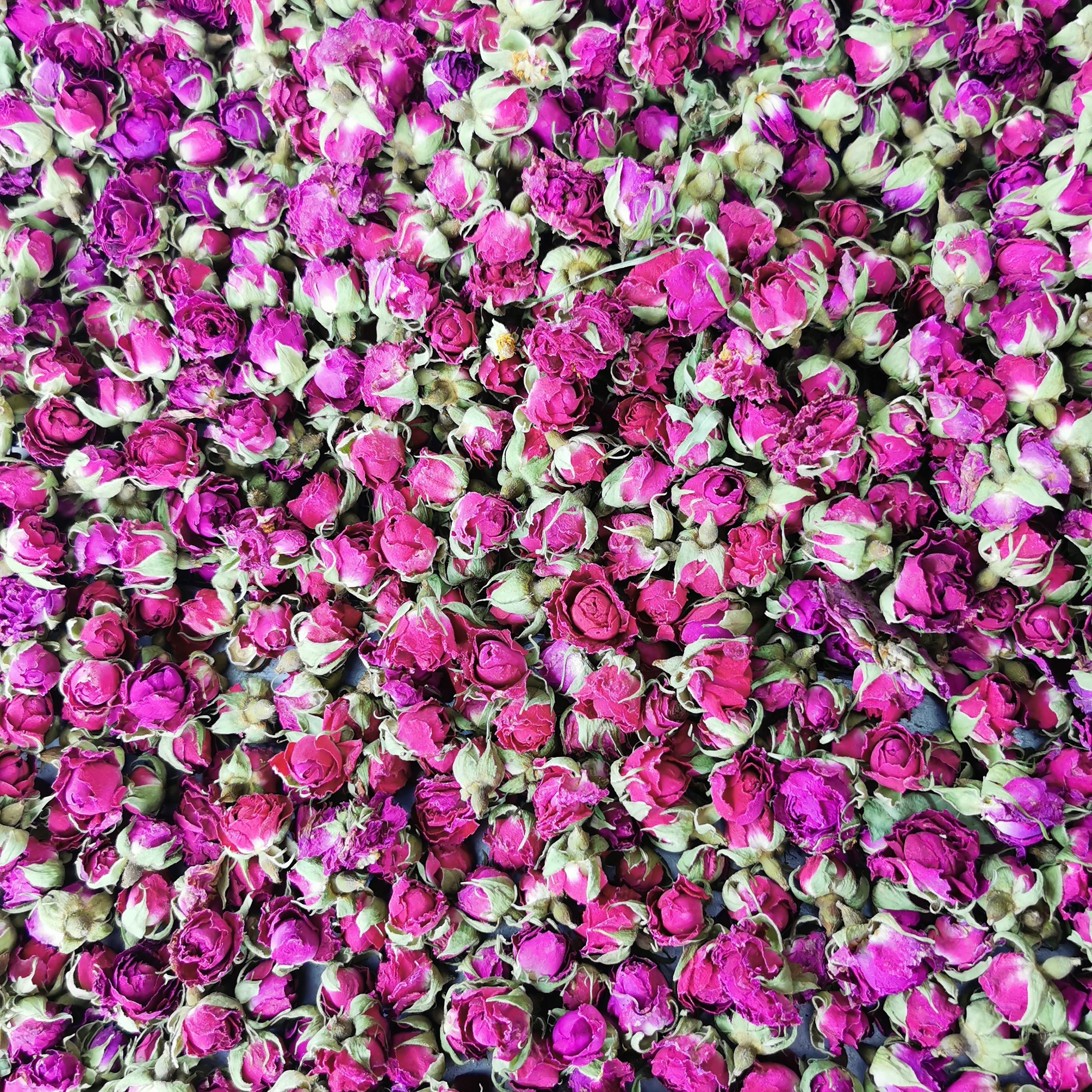 新疆和田玫瑰花茶沙漠玫瑰干玫瑰花蕾重瓣红玫瑰 250g包邮泡水