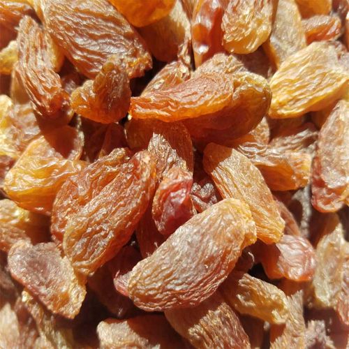 红香妃2025年新鲜吐鲁番红香妃葡萄干坚果零食5斤 红马奶葡萄干