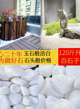 白色鹅卵石铺地白色小石头园林景观鹅卵石花盆天然庭院造景白石子