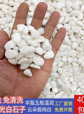 白色鹅卵石庭院铺地阳台白砾石免清洗小白石抛光鹅卵石白石子造景