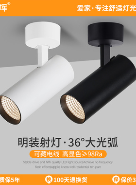 爱多辉深防眩明装射灯COB客厅无吊顶无主灯设计led射灯吸顶式5328