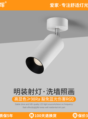 爱多辉明装射灯led客厅家用照画cob服装店吸顶式小山丘洗墙灯5218