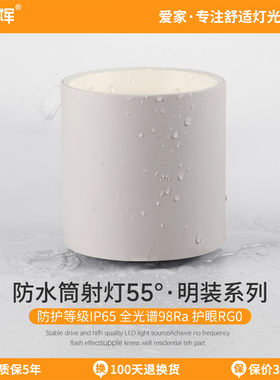 爱多辉防水明装筒灯7w12w射灯led天花灯免开孔浴室澡堂户外阳台灯