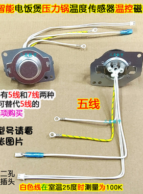 奔腾电饭煲压力锅PRT307/FE403/TM518温度传感器底部温控磁钢5线
