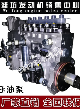 潍柴动力WP10柴油发动机 喷油泵 高压油泵612601080386龙口柴油泵