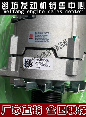 潍柴WP4道依茨WP6拖拉机WP10柴油发动机WD10铲车1001828445发电机