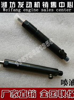 潍柴226B道依茨WP4WP6柴油发动机12270162喷油器油嘴油头13027052