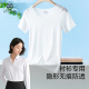 t恤女夏季 打底衫 薄新款 防透内搭冰丝睡衣大码 衬衫 莫代尔无痕短袖