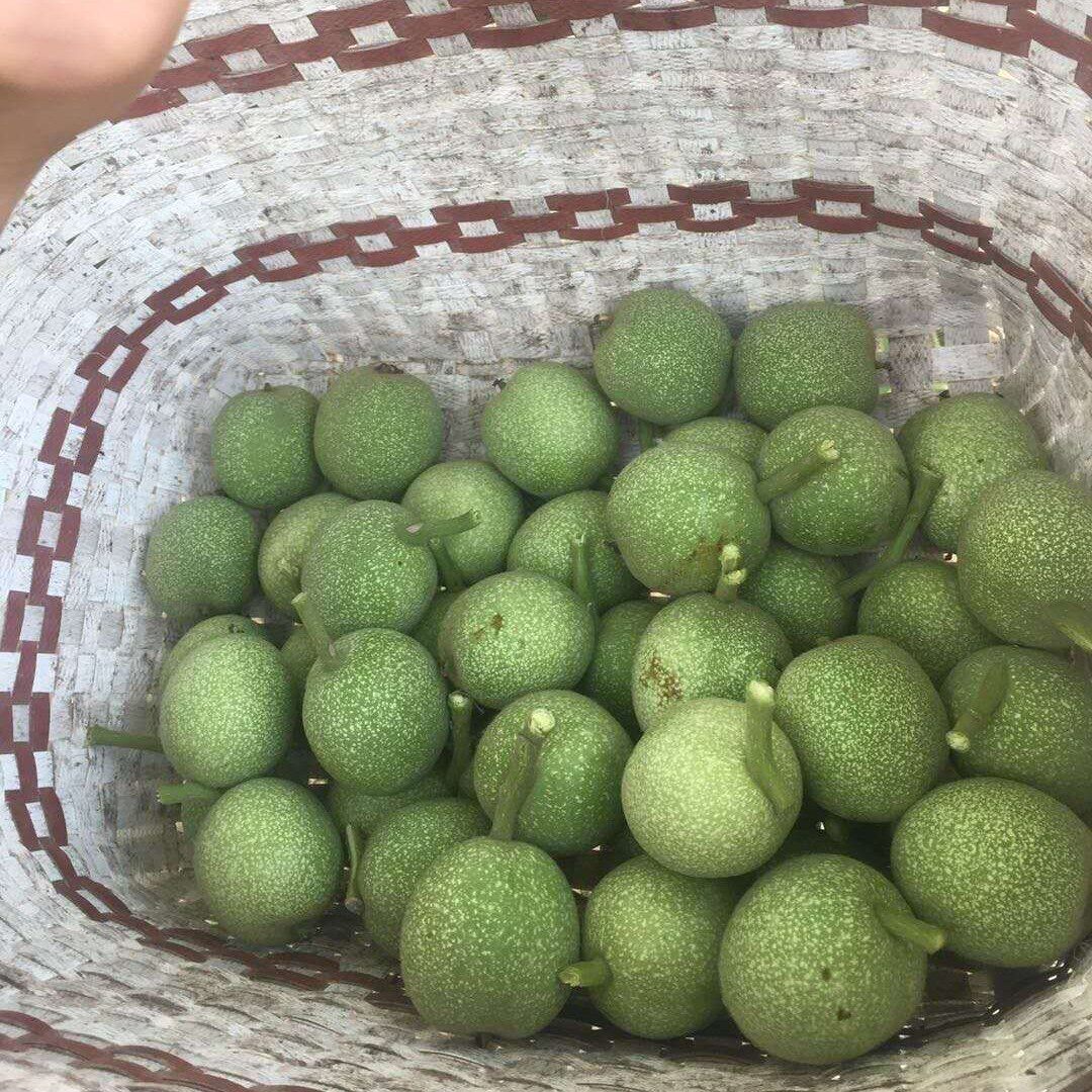 新鲜带青皮嫩核桃幼刚结果药用泡酒煮鸡蛋泡蜂蜜外用涂抹汁液非去