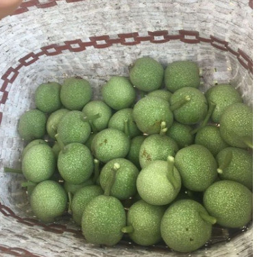 25青皮新鲜现摘带青皮核桃泡酒药用涂抹染发煮鸡蛋煮水生小纯天然