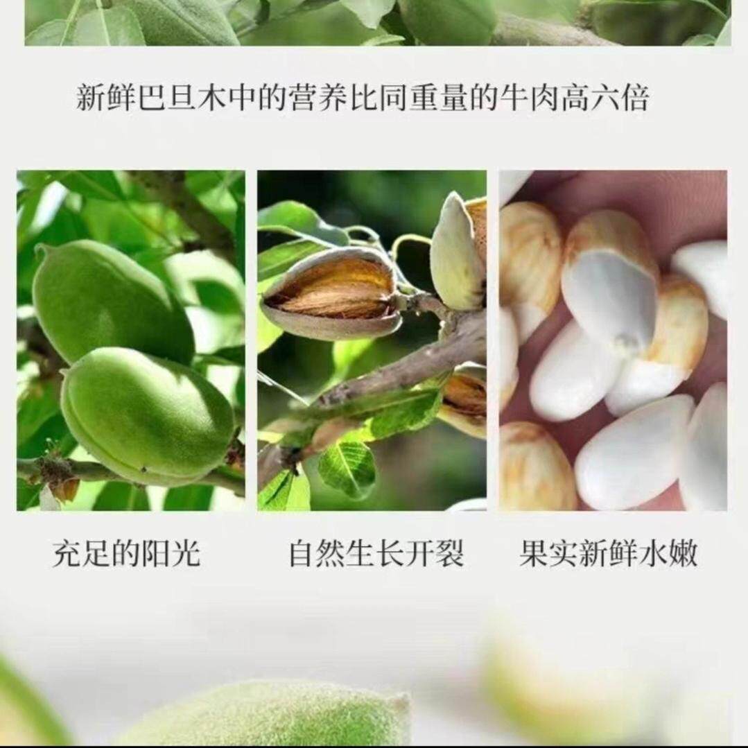 新鲜青皮巴旦木现摘现发美国大杏仁松鼠扁桃鲜桃核带绿壳巴达木