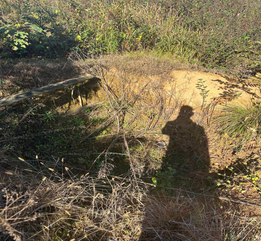 湖南省常德市汉寿县潘桥村、楼背村、白竹山村、金鸡村、高岩村、马斯桥村等地，面积为10146.14亩的林权