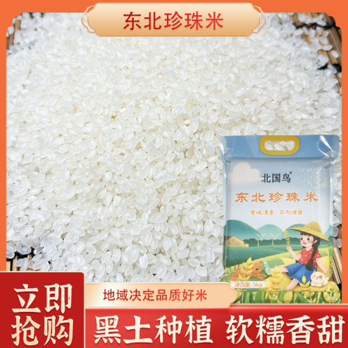 【北国鸟】东北珍珠米黑土种植粳稻饱满晶莹口感软糯香甜珍珠米