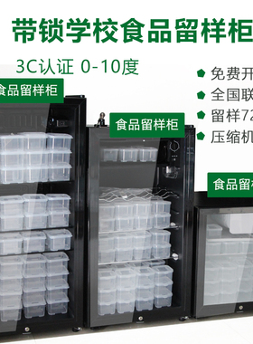食品留样柜带锁家用冰箱保鲜学校食堂幼儿园小型冷藏展示柜单双锁