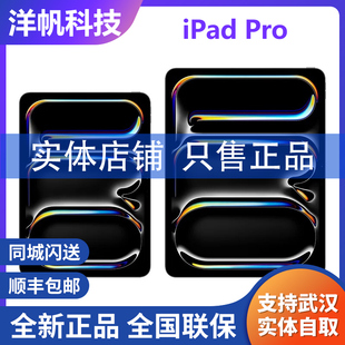 苹果 Pro 13英寸M4芯片平板电脑国行全新正品 Apple iPad 2024新款