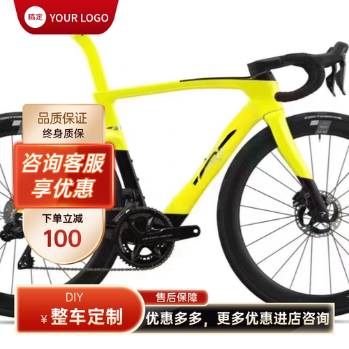 DIY碳纤维车架轮组整车公路车