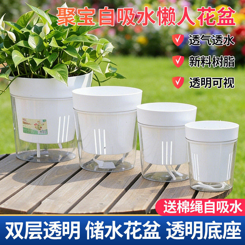 透明可视盆身直观掌握根系状态图片
