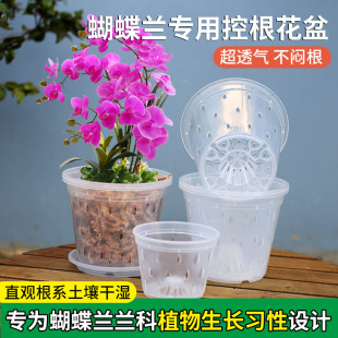 蝴蝶兰种植花盆雨滴高透明塑料带底孔透气兰科花盆桌面创意专用盆