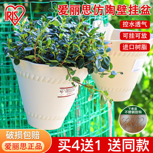 爱丽思树脂吊兰绿萝壁挂花盆
