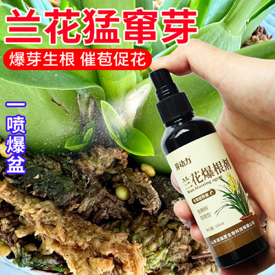 兰花专用肥营养液肥料多箭素兰科君子兰蝴蝶兰免稀释叶面促芽开花