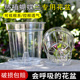 PC高透明活性盆带空气柱热植石斛多肉有侧孔控根盆塑料蝴蝶兰花盆