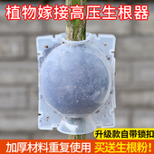 植物高压嫁接盒生根器扦插嫁接高压包枝繁殖球培养器育苗背枝园艺