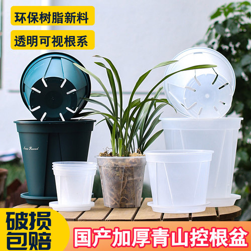 青山月季控根盆套装更优惠