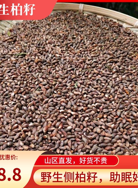 侧柏籽 野生新货柏子仁原料枕头枕芯填充物 沂蒙山区柏树子柏果