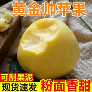 帅苹果5斤粉面沙新鲜水果黄香蕉苹果老人正宗黄金帅刮泥 烟台黄元