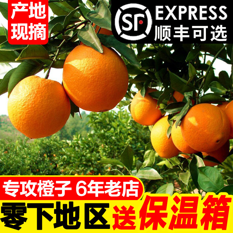 湖北正宗秭归脐橙纽荷尔新鲜水果橙子当季大个手剥橙九月红果冻橙