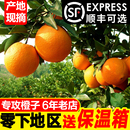 湖北正宗秭归脐橙纽荷尔新鲜水果橙子当季 大个手剥橙九月红果冻橙
