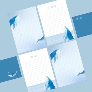 韩国Pinkfoot 可爱鲸鱼信纸加信封套装 高级小清新情书表白信笺